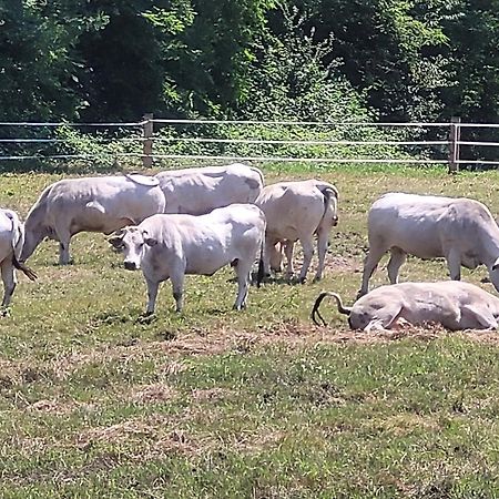 Agriturismo La Fornace Centro Ippico Como Exteriör bild