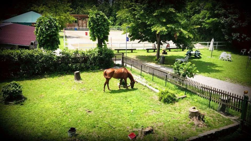 Agriturismo La Fornace Centro Ippico Como Exteriör bild